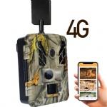 BST886-4G